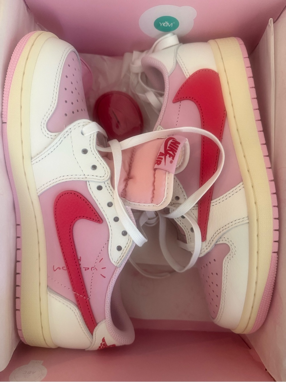 Travis Scott Air Jordan